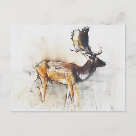 Magnificent Fallow Buck 2006 ポストカード (正面)