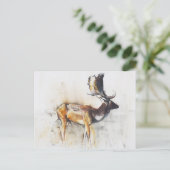 Magnificent Fallow Buck 2006 ポストカード (スタンド正面)
