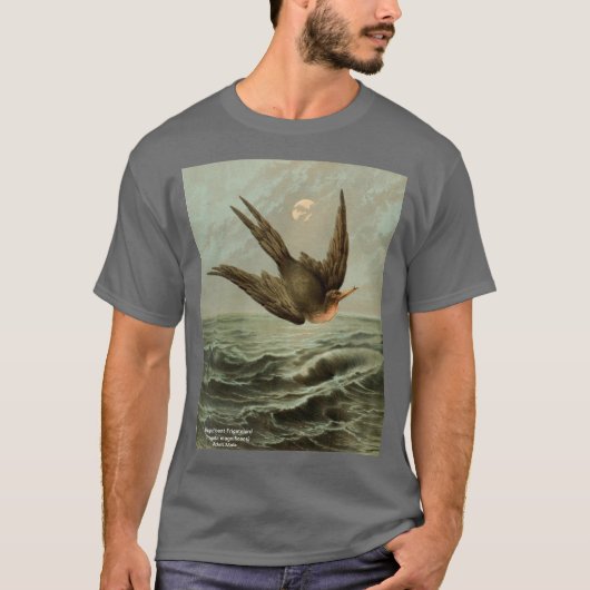 Magnificent Frigatebird、前面/背面図3 Tシャツ (正面)