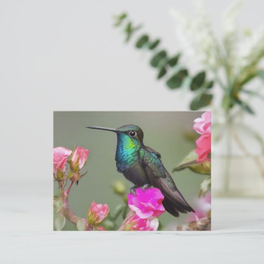 Magnificent Hummingbird at Rest ポストカード (スタンド正面)