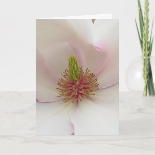 Magnoliaカードホワイトブロッサムカードパーソナライズ シーズンカード (正面)