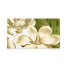 Magnoliaプロファイルカード