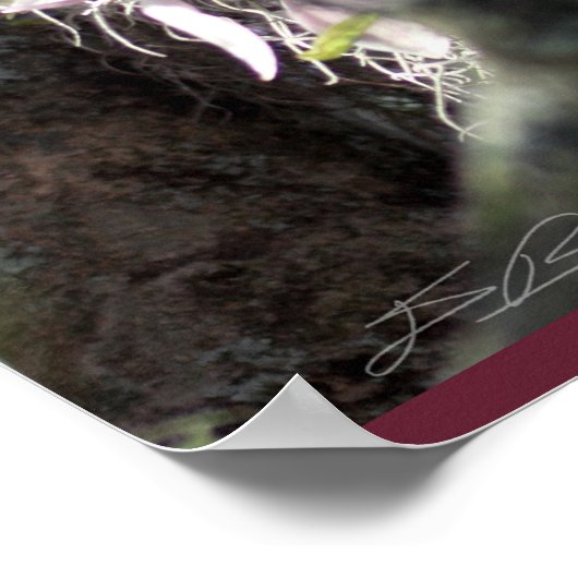 Magnoliaポスタ日本のー–24x36 – その他のサイズも ポスター (角)