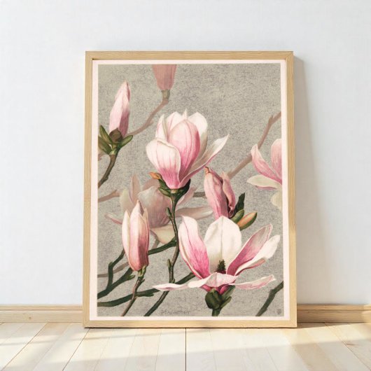 Magnolia ポスター