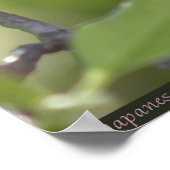 Magnolia 日本の 2ポスター–40x60以下 ポスター (角)