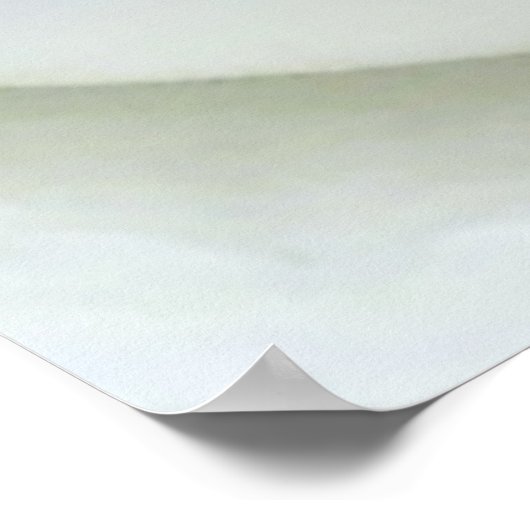 Magnolia Bloom                        ポスター (角)