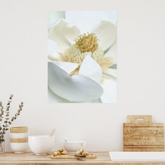Magnolia Bloom                           ポスター (キッチン)