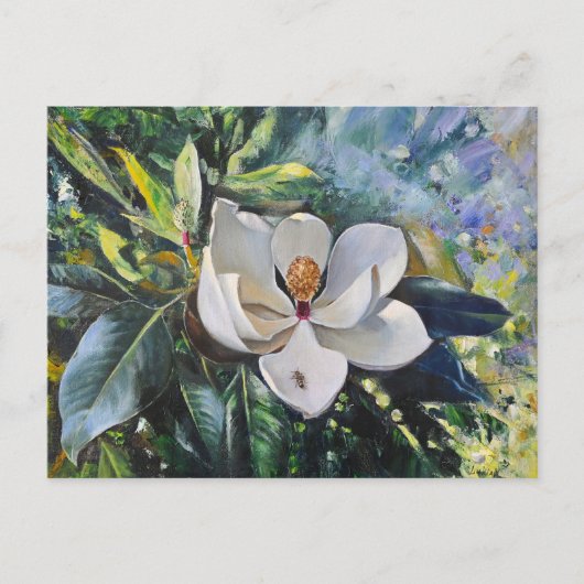 Magnolia Blossom Oil Painting of Nature’s Harmony ポストカード (正面)