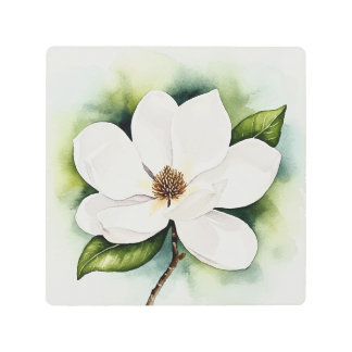 Magnolia flower メタルプリント