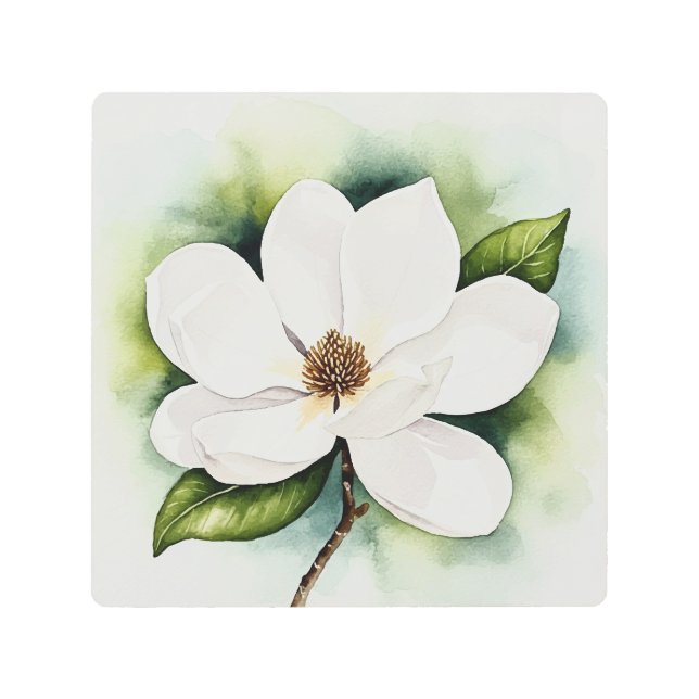 Magnolia flower メタルプリント (正面)