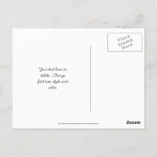 Magnolia Flowers Blue Sky Personalized ポストカード (裏面)