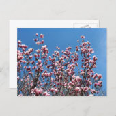 Magnolia Flowers Blue Sky Personalized ポストカード (正面/裏面)