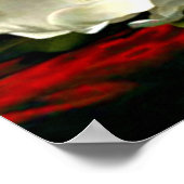 Magnolia Grandiflora-1895,_Martin Johnson Heade ポスター (角)