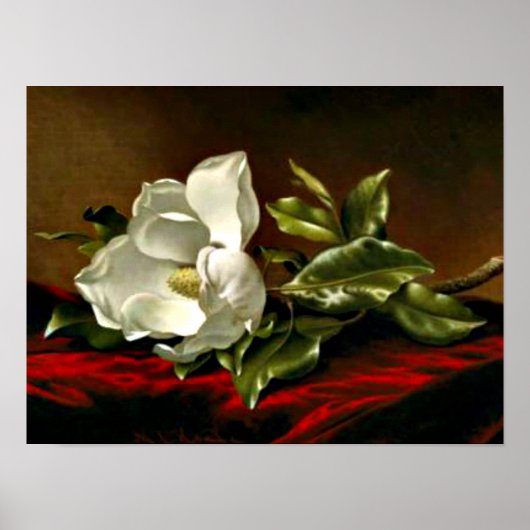 Magnolia Grandiflora-1895,_Martin Johnson Heade ポスター (正面)