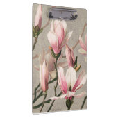 Magnolia - L. Prang & Co  クリップボード (右)