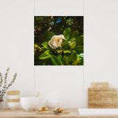 Magnolia of Corfu ポスター (キッチン)