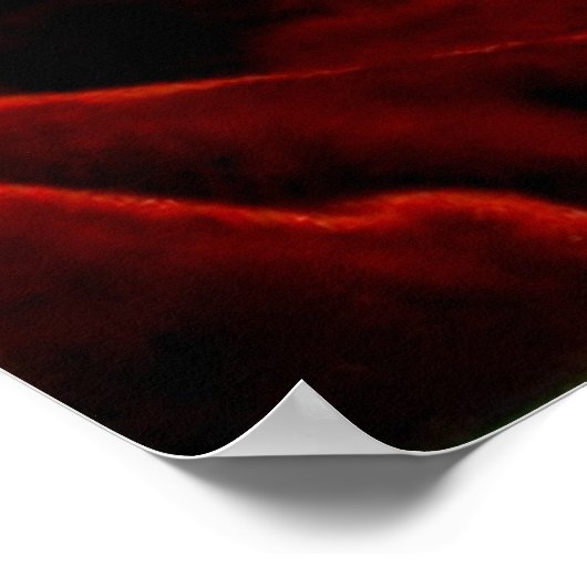 Magnolia on Red Velvet ポスター (角)