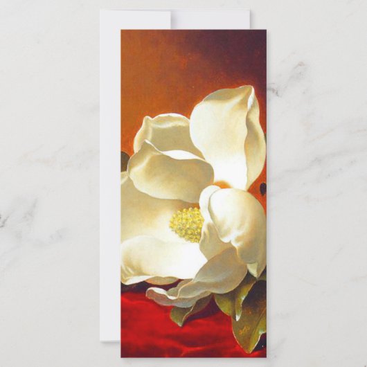 Magnolia on Red Velvet Martin Johnson Headeカード (正面)