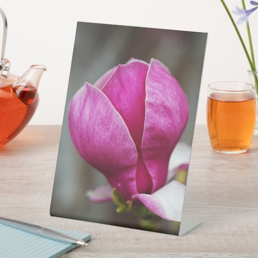 Magnolia Pink Full Bloom 台座サイン (インサイチュ)