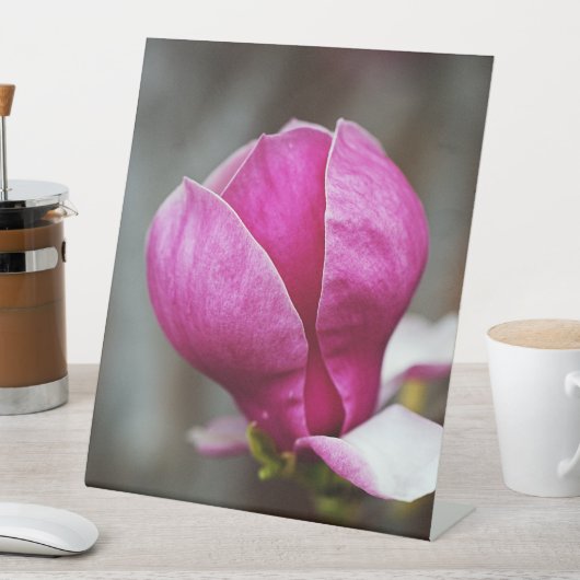 Magnolia Pink Full Bloom 台座サイン (インサイチュ)