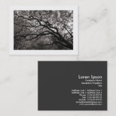 Magnolia Tree in Blossom 01 縁ど () 名刺 (正面/裏面)
