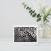 Magnolia Tree in Blossom 01 縁ど () 名刺 (スタンド正面)