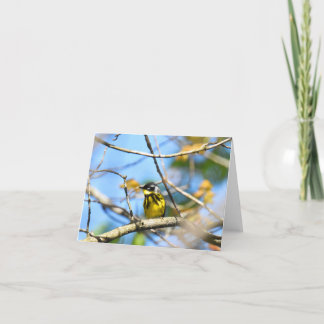 Magnolia Warbler – ノートカ空白のード サンキューカード