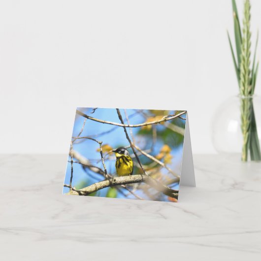 Magnolia Warbler – ノートカ空白のード サンキューカード (正面)