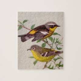 Magnolia Warbler Painting by Louis Agassiz Fuentes ジグソーパズル