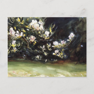 Magnolias by John Singer Sargent ポストカード