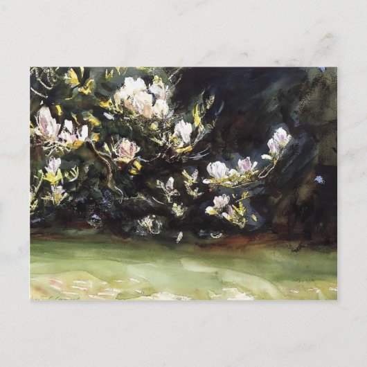 Magnolias by John Singer Sargent ポストカード (正面)