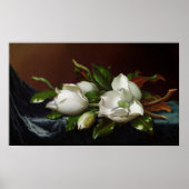 Magnolias on Light Blue by Martin Johnson Heade ポスター (正面)
