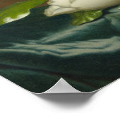 Magnolias on Light Blue Velvet ,Famous Painting ポスター (角)