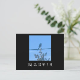 Magpie自然はがき ポストカード