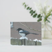 Magpie in the Snow DIY Postcard シーズンポストカード (スタンド正面)