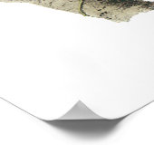 Magpie Jay, John Audubon ポスター (角)