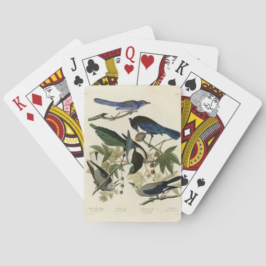 Magpie Jays & Nutcracker Audubon Birds of America トランプ (裏面)