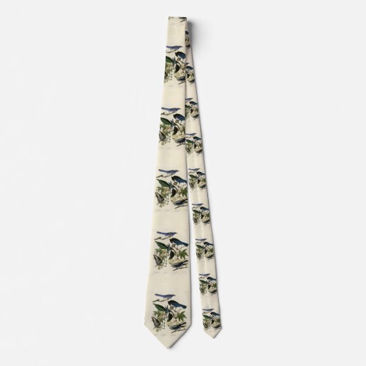 Magpie Jays & Nutcracker Audubon Birds of America ネクタイ (正面)
