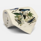 Magpie Jays & Nutcracker Audubon Birds of America ネクタイ (ロール)