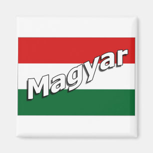 Magyarの磁石 マグネット