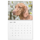 Magyar Vizsla Hunde Kalender カレンダー (3月 2026)