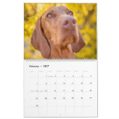 Magyar Vizsla Hunde Kalender カレンダー (2月 2027)