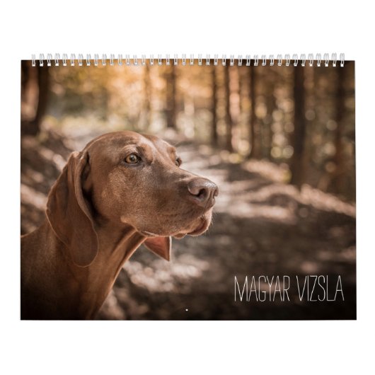 Magyar Vizsla Hunde Kalender カレンダー (カバー)