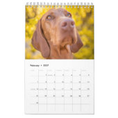 Magyar Vizsla Hunde Kalender カレンダー (2月 2027)