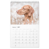 Magyar Vizsla Hunde Kalender カレンダー (1月 2027)