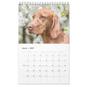 Magyar Vizsla Hunde Kalender カレンダー (3月 2027)