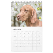 Magyar Vizsla Hunde Kalender カレンダー (3月 2026)