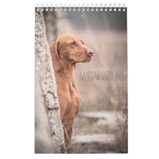 Magyar Vizsla Hunde Kalender カレンダー (カバー)