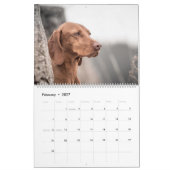 Magyar Vizsla Hunde Kalender カレンダー (2月 2027)