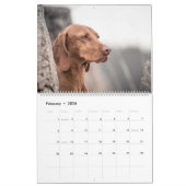 Magyar Vizsla Hunde Kalender カレンダー (2月 2026)